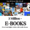 3 Million+ eBooks with Reseller Rights + 3 Million PLR Articles Bonus